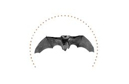 Bat