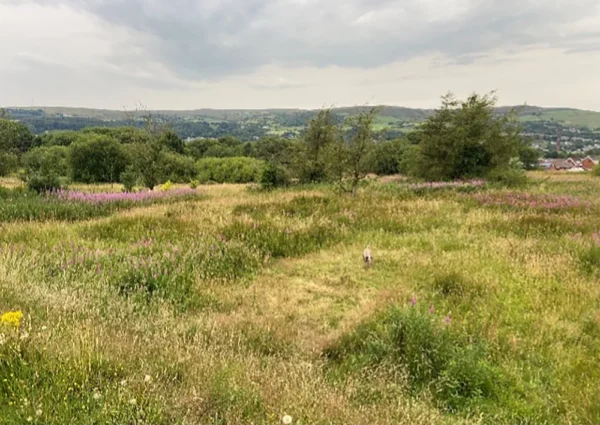 district-wildlife-img4