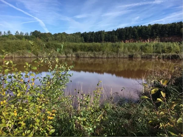 moneystone-quarry-img