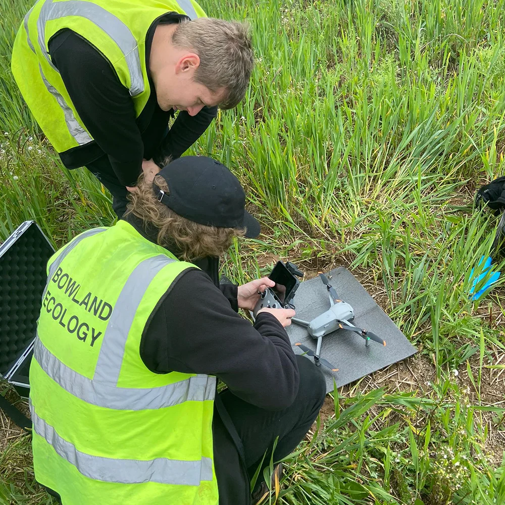 Applied Ecologists